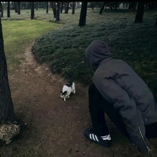 睡觉总可以吧