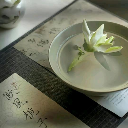 七安说书