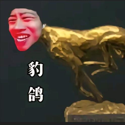 爱玩暗区的入