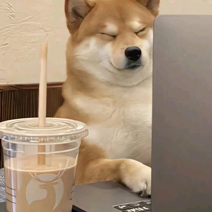 爱是我的羽翼
