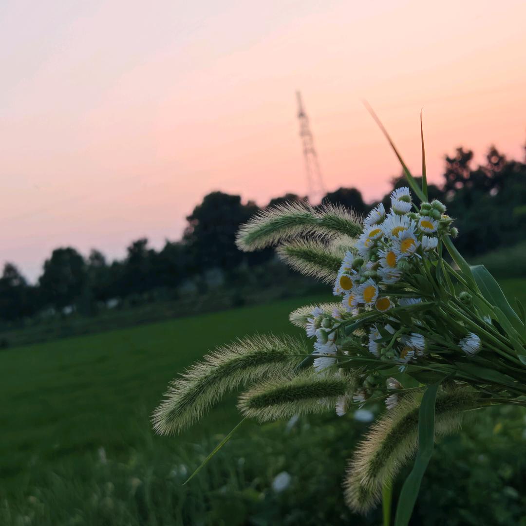 ོღ沐寒ꦿꕥ᭄