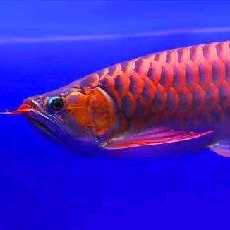 北京专业办公室装修