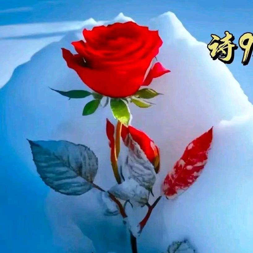 爱的家园💎☀☔🌙🌹