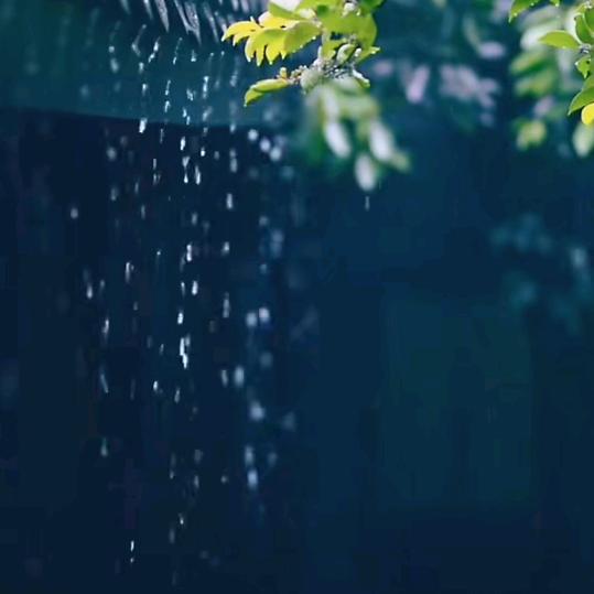 遂愿