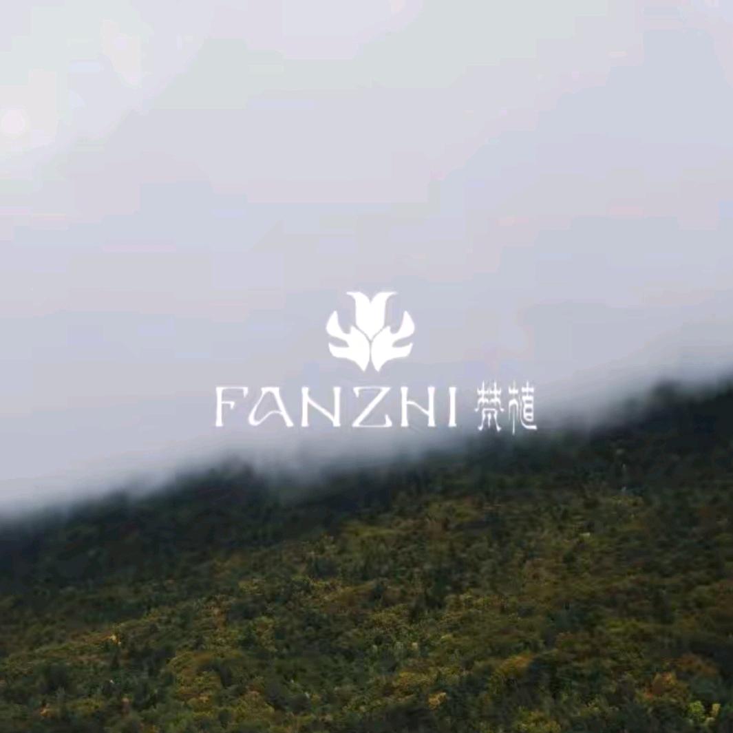 梵植饮品店