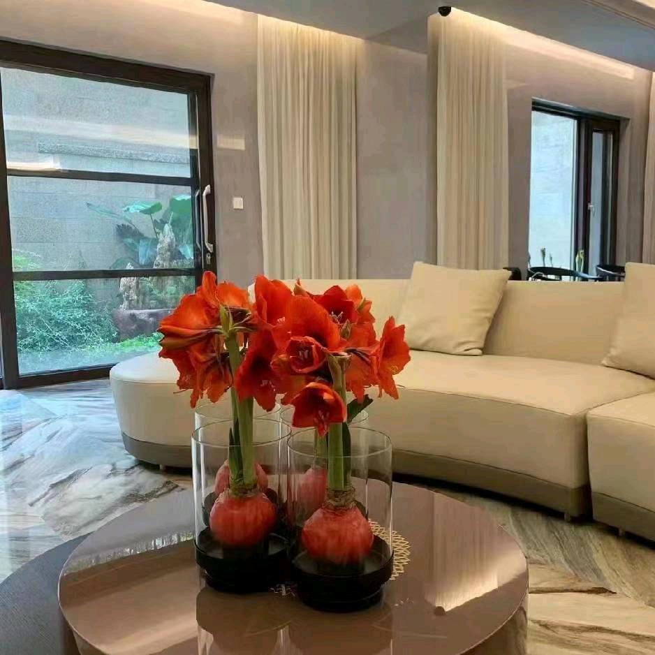 -智盛机电想出圈