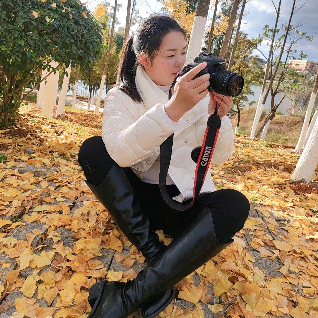 小杨羔