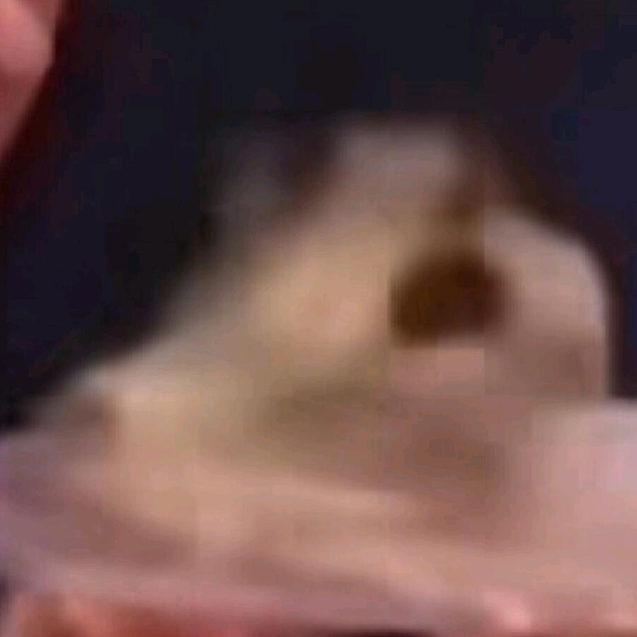 西伯利亚小白马