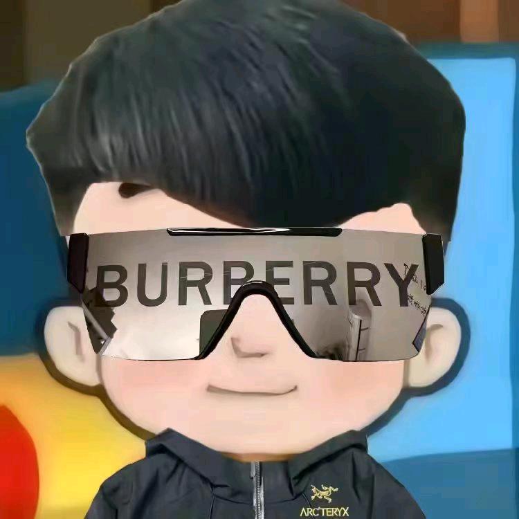 保镖😀