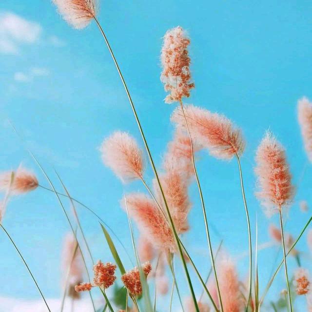 一个人的世界静的只有我