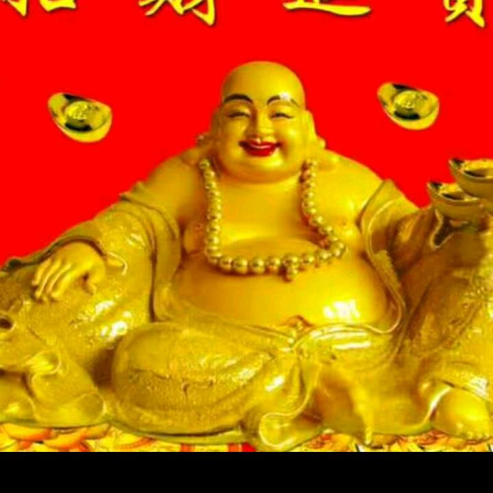 窦二少