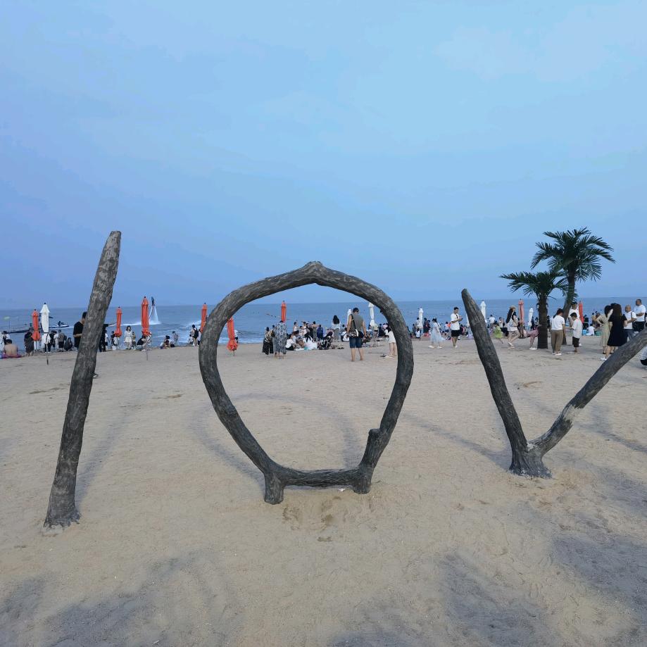 大海啊大海
