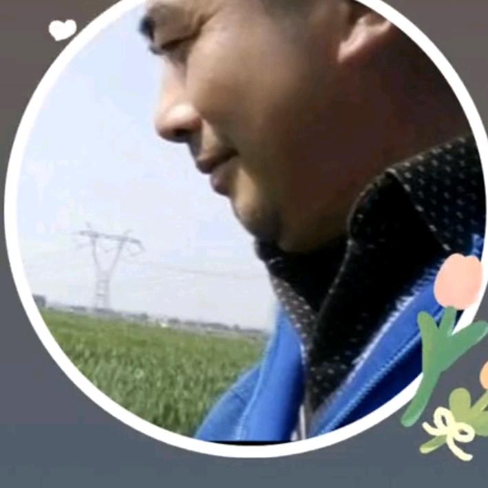 路哥带你上高速