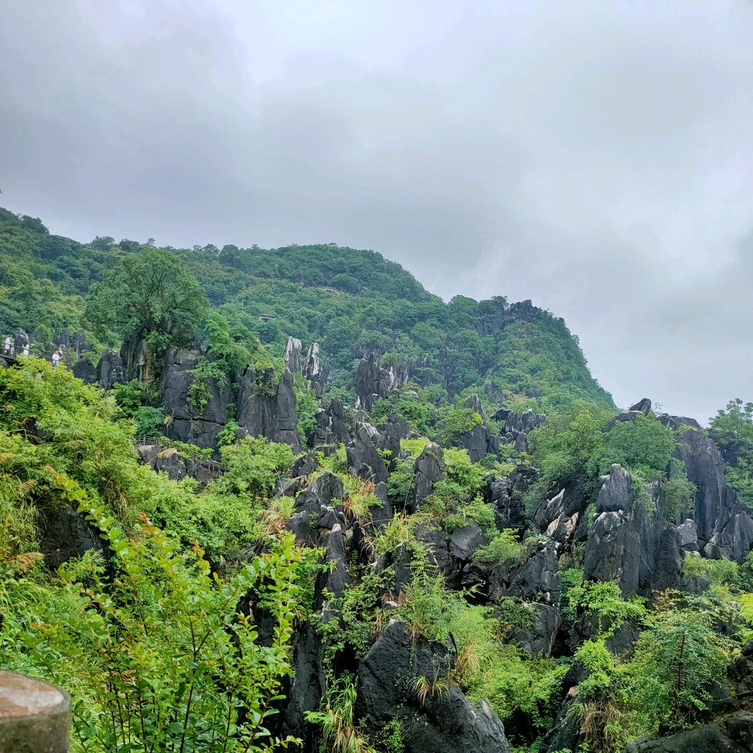 不一样