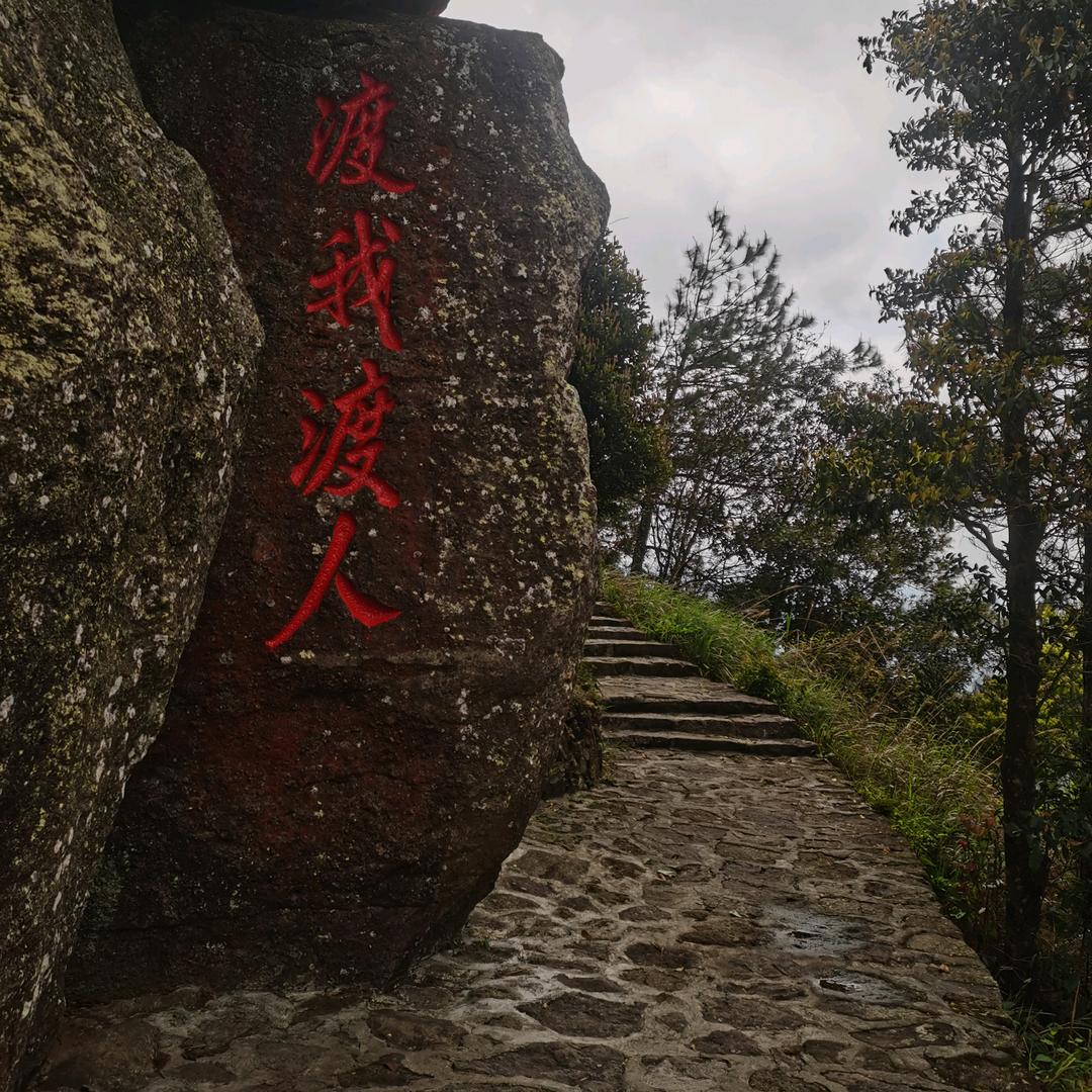 蒋卍🈶