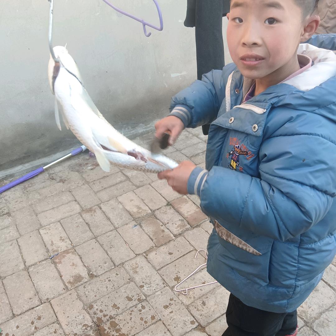 濤壹合阳人