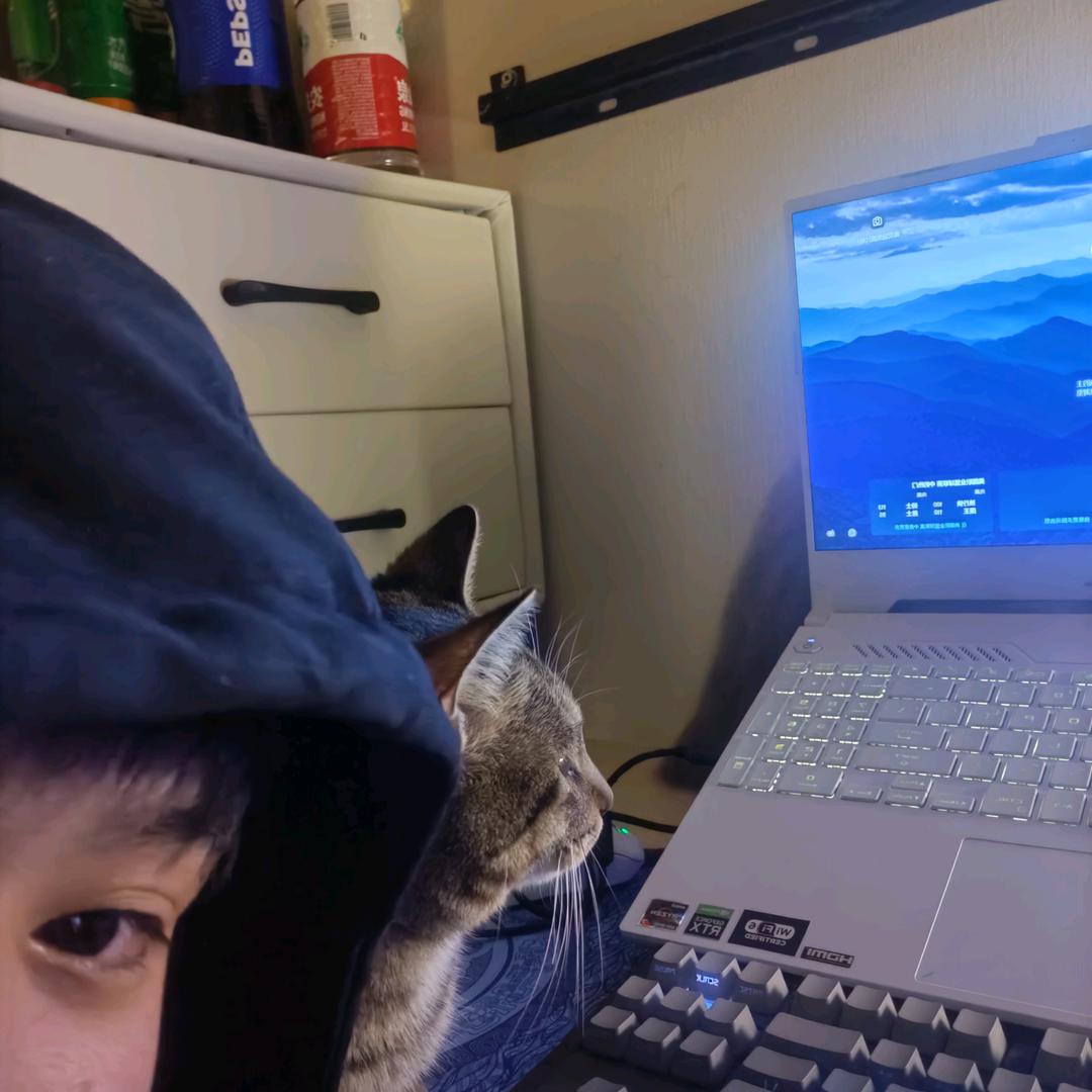 帅炸了的煎蛋