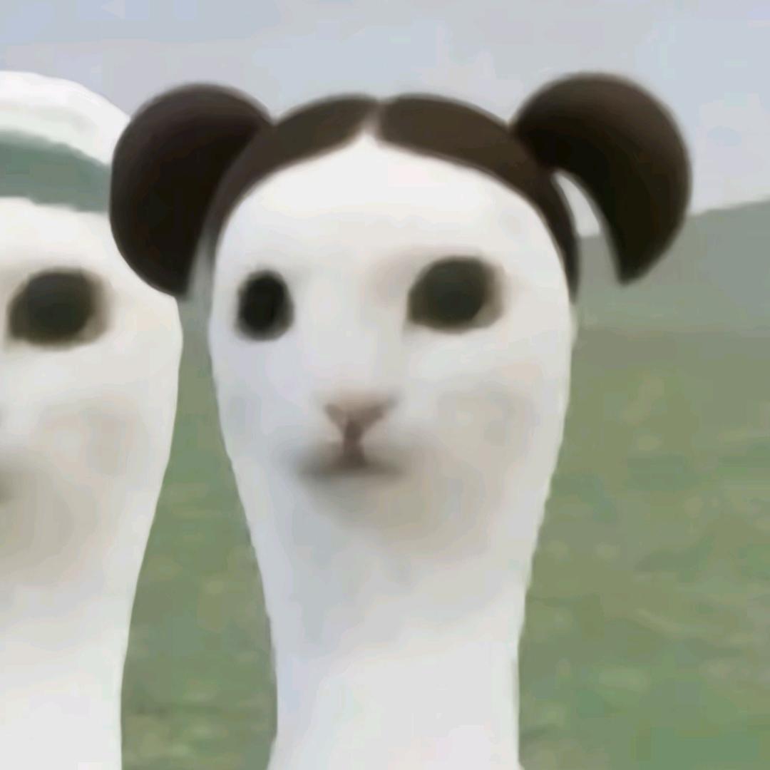 悲伤的河马79