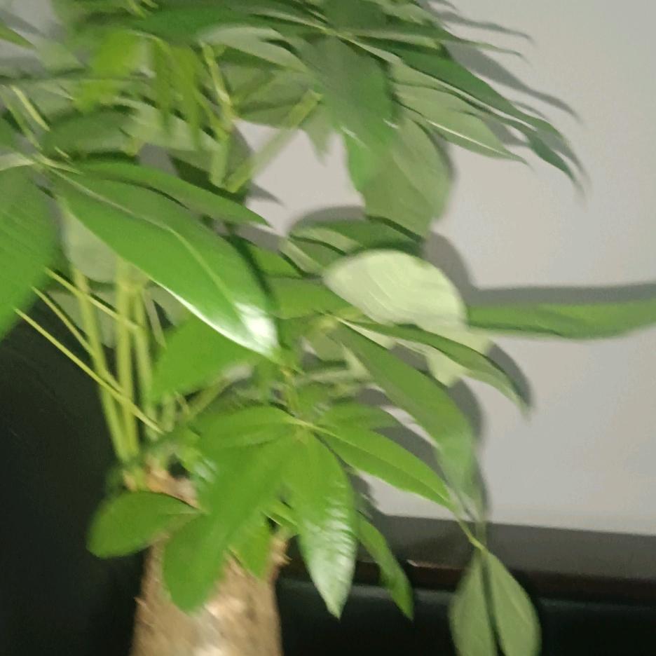 心好累呀