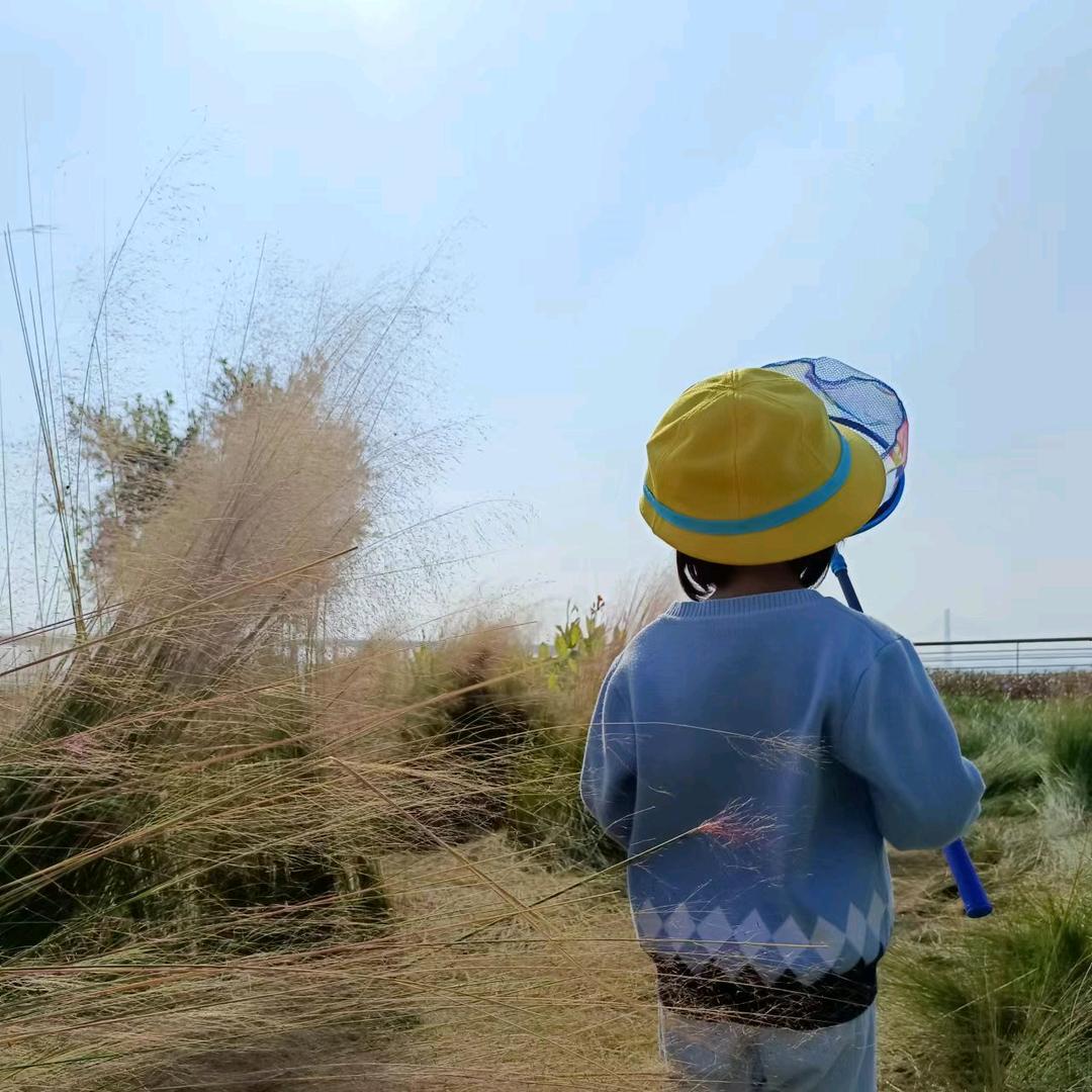 卷毛先生