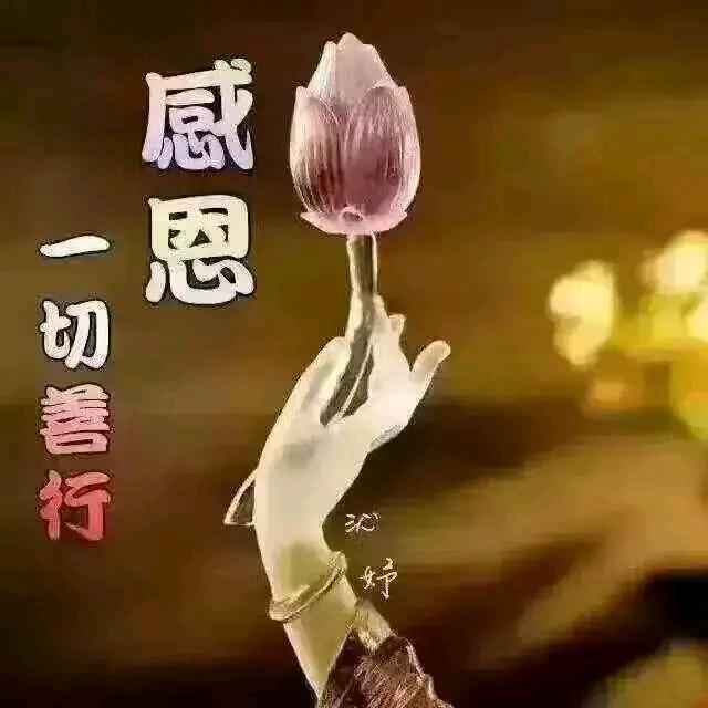 一❤️心向佛