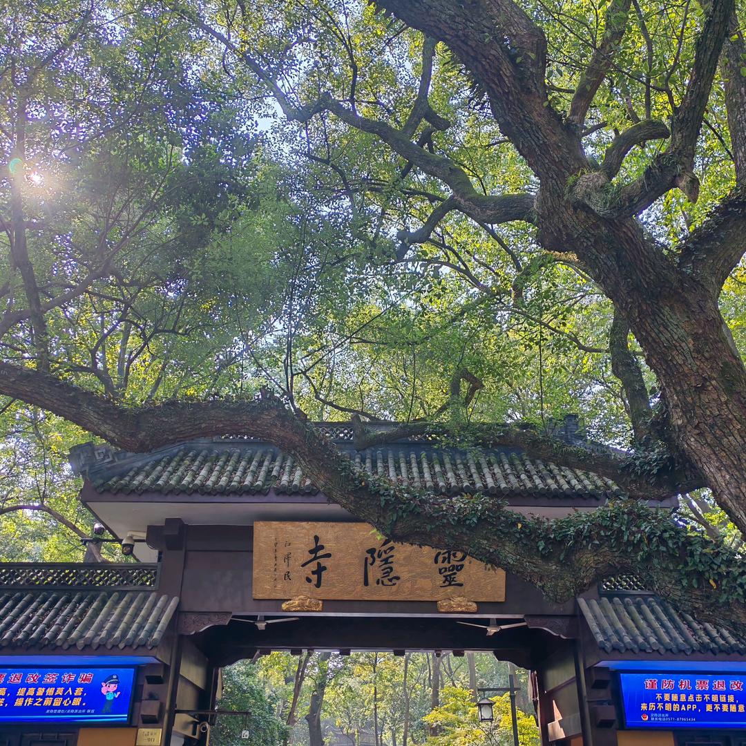 宫商角徵