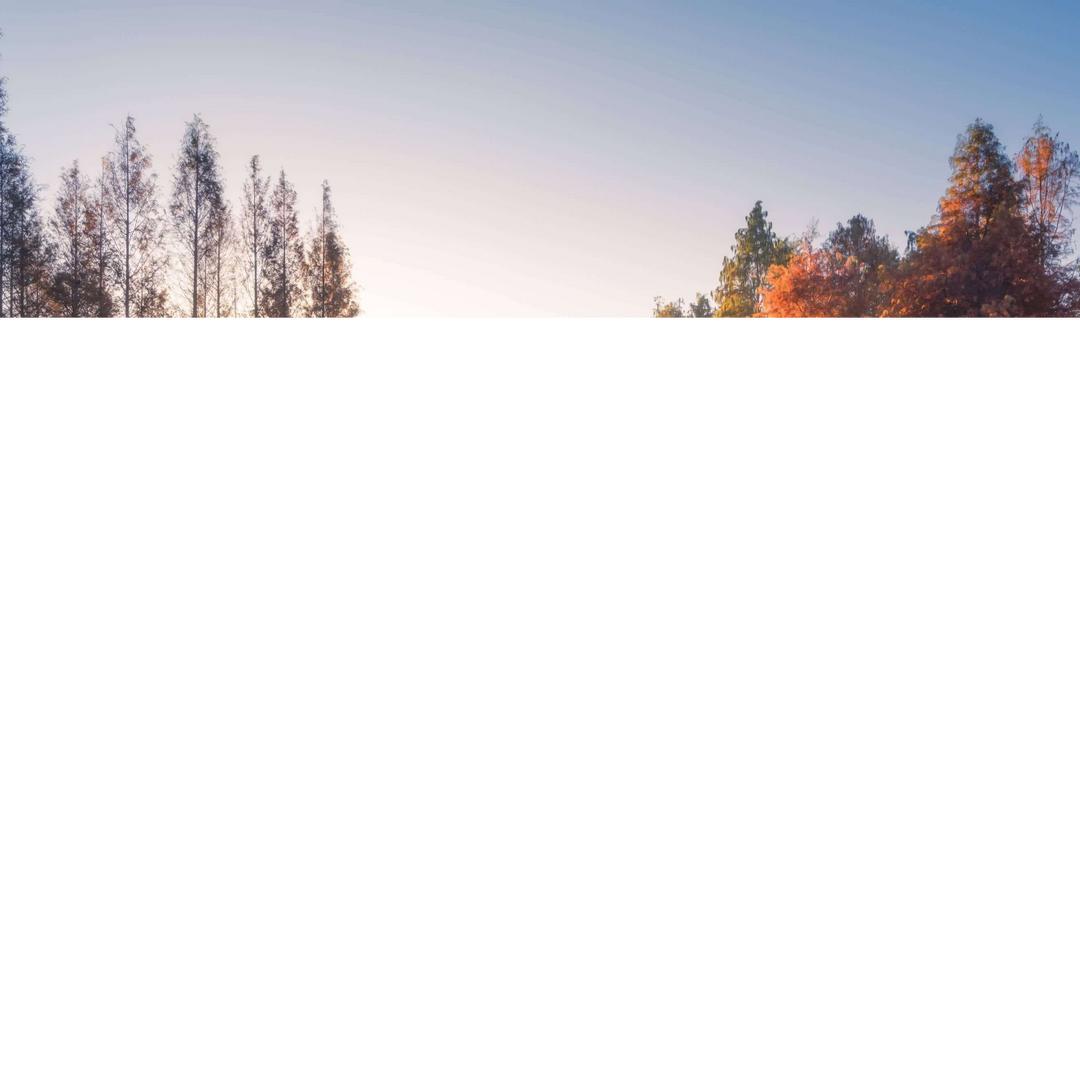 美丽夕阳红