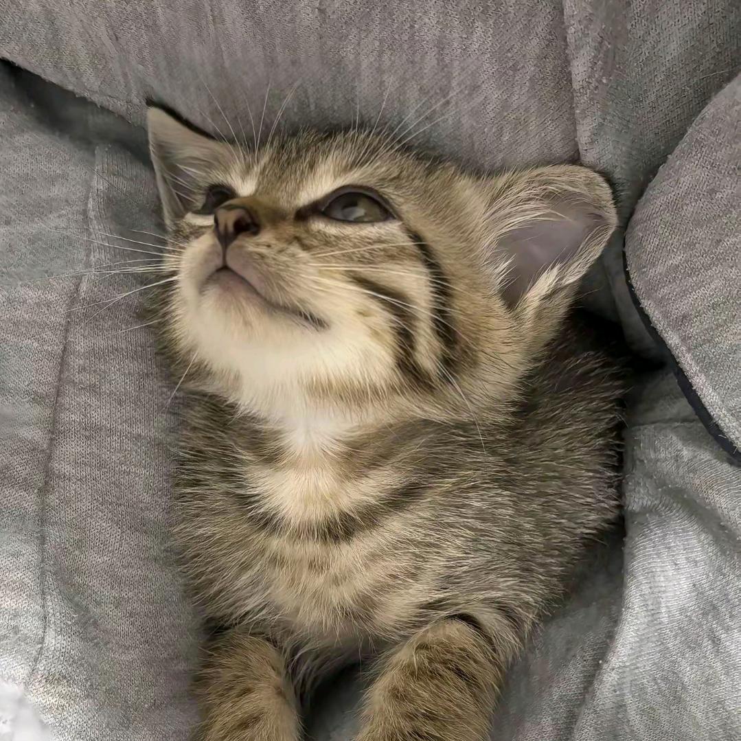 很不高兴为您服务