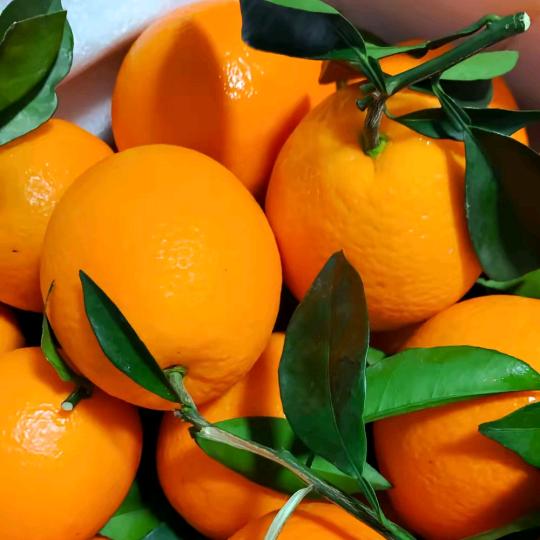 格一生鲜批发2号店