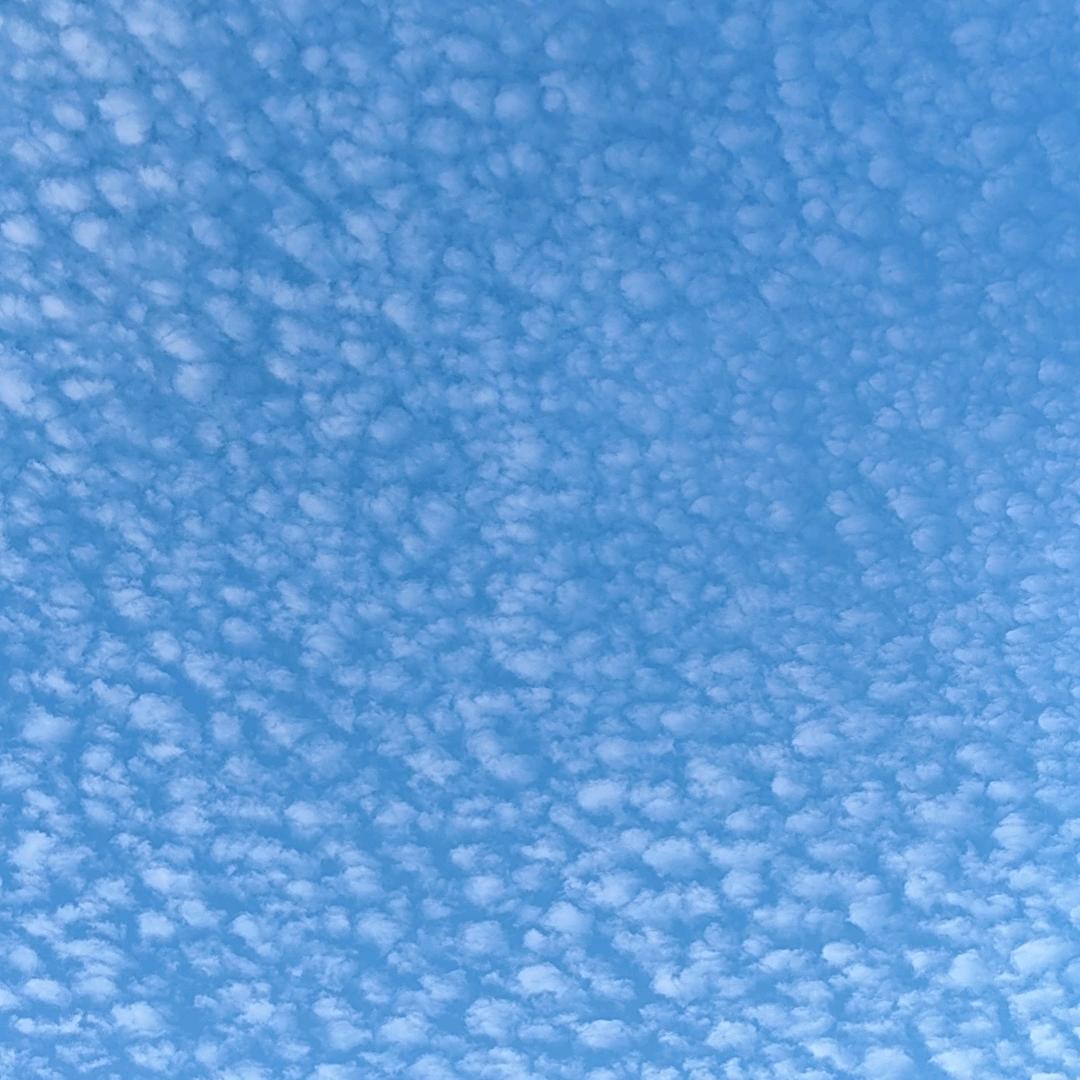 阿偉