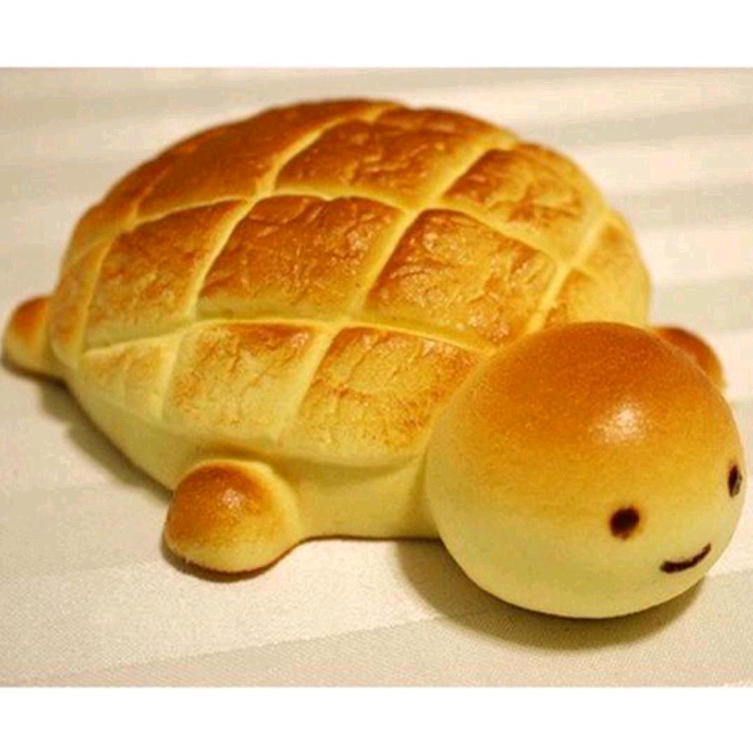 青蛇🐍☀