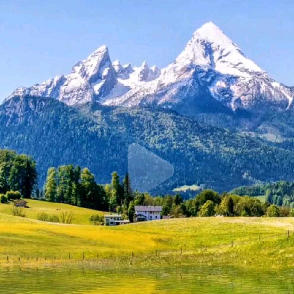 A浮云中药阳光农业自然农业