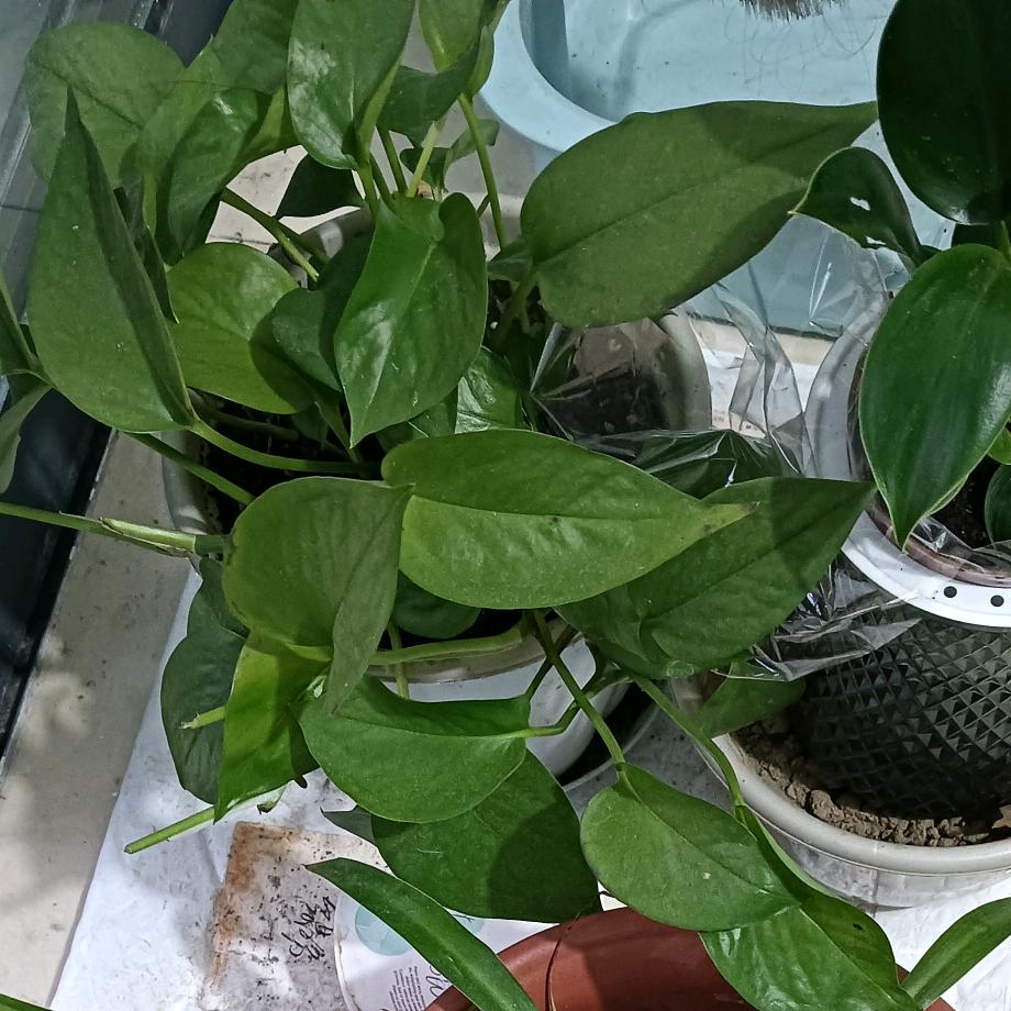 一切随缘
