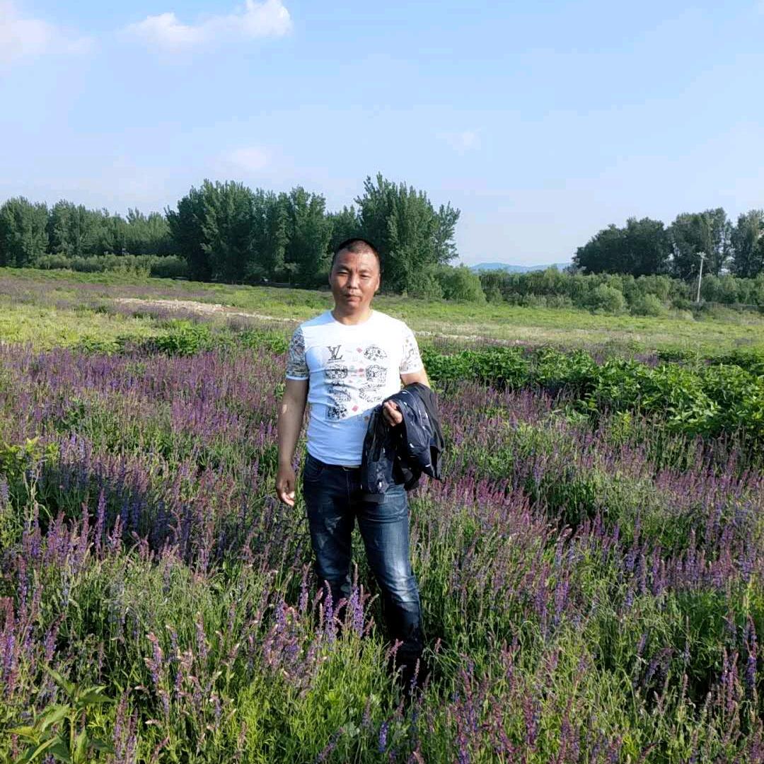 燕阳高照