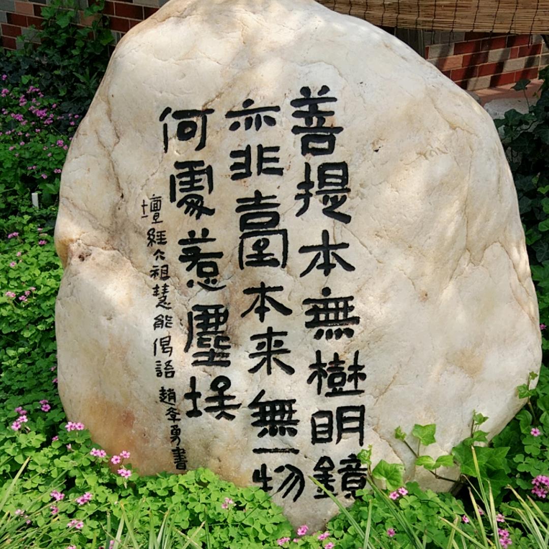 💎鉐來運轉✨
