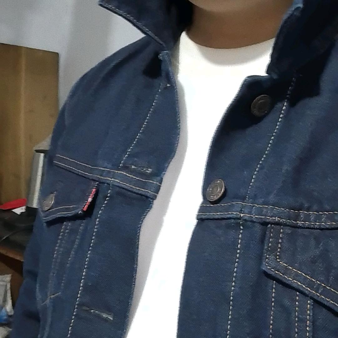 归来