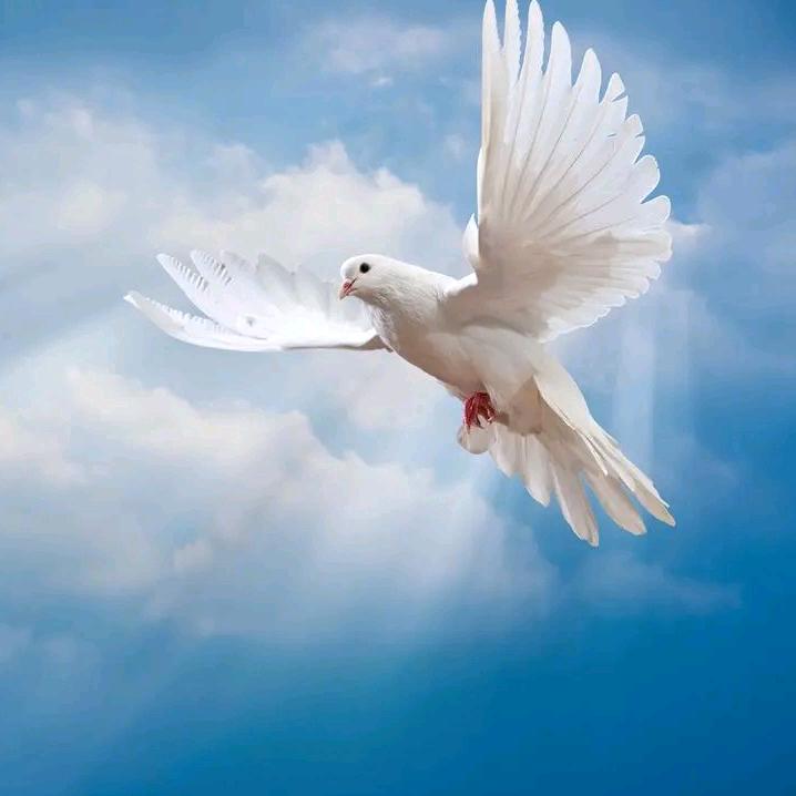 咪佳彤呀🇨🇳