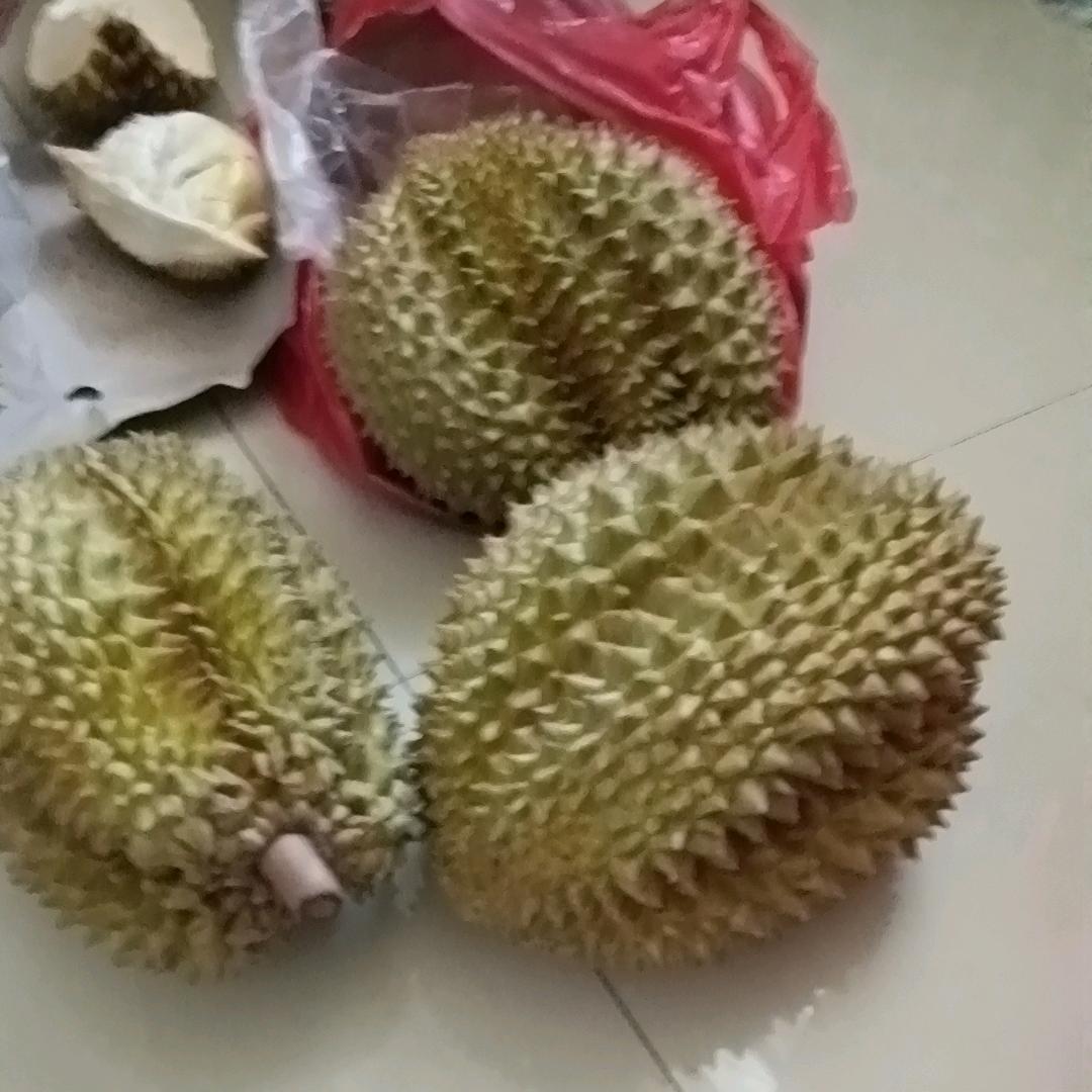 艳姐