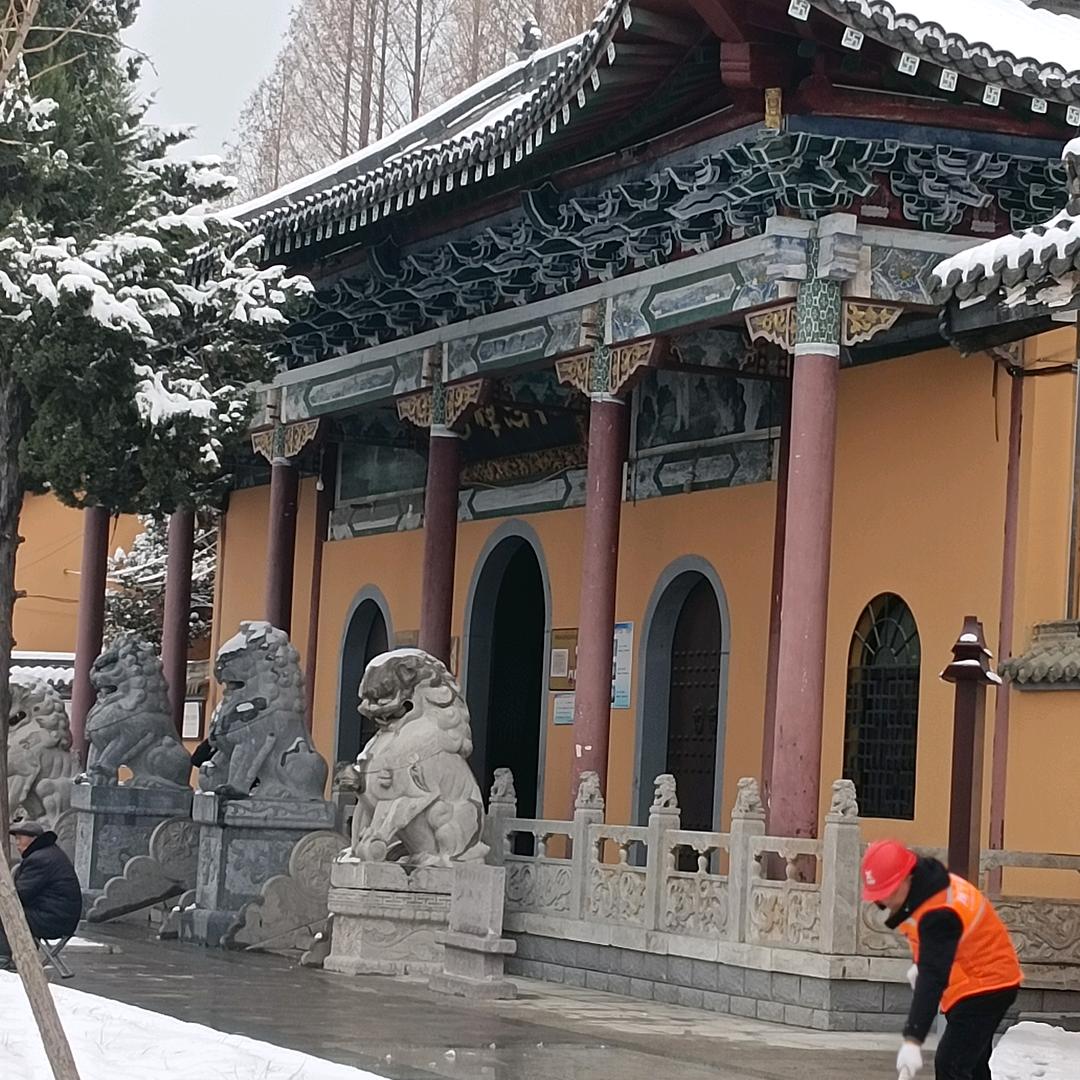 有才少萌主，iCSmZ