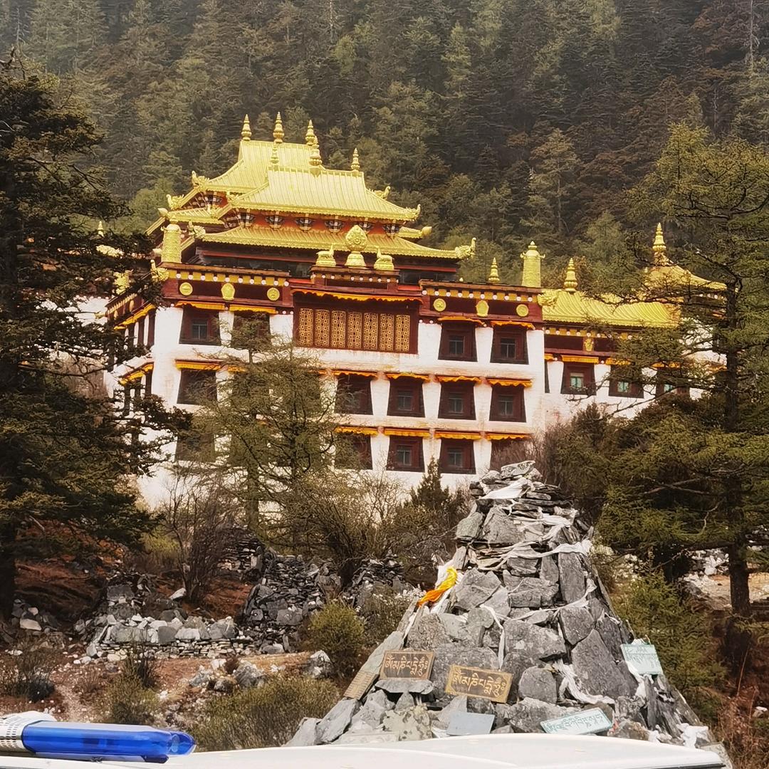 明明白白不明白