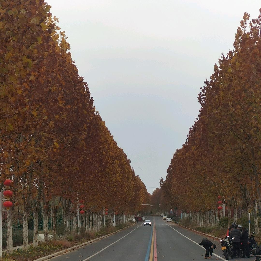石家庄🇨🇳🇨🇳🇨🇳