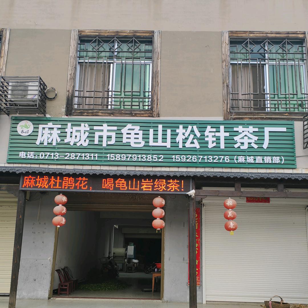 麻城市龟山松针茶厂