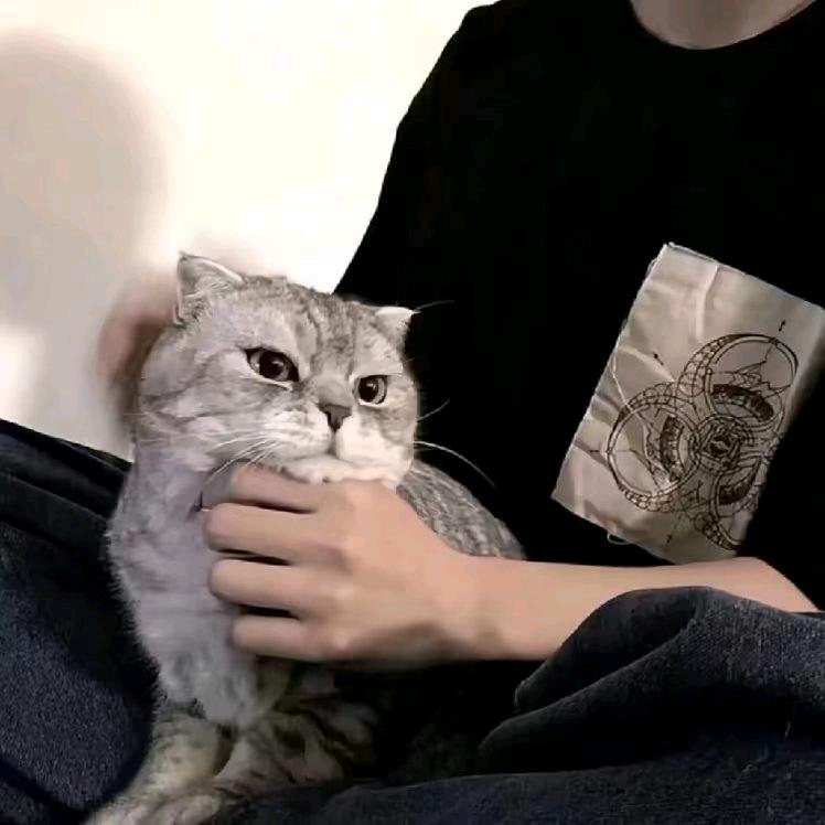 小xin.