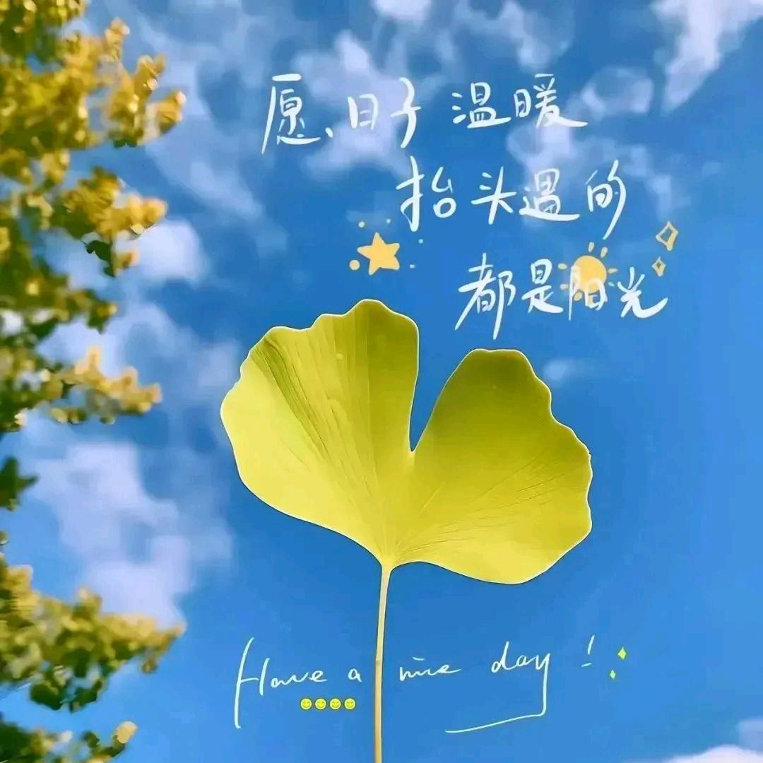 🍀晴☘️