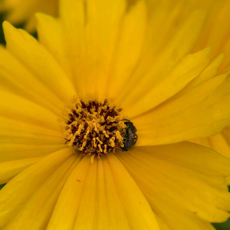 轻轻还是那个轻轻，默默也是那个默默