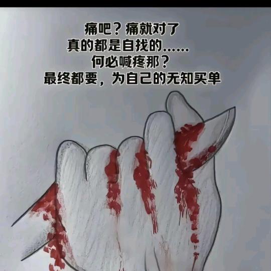 终究还是过客