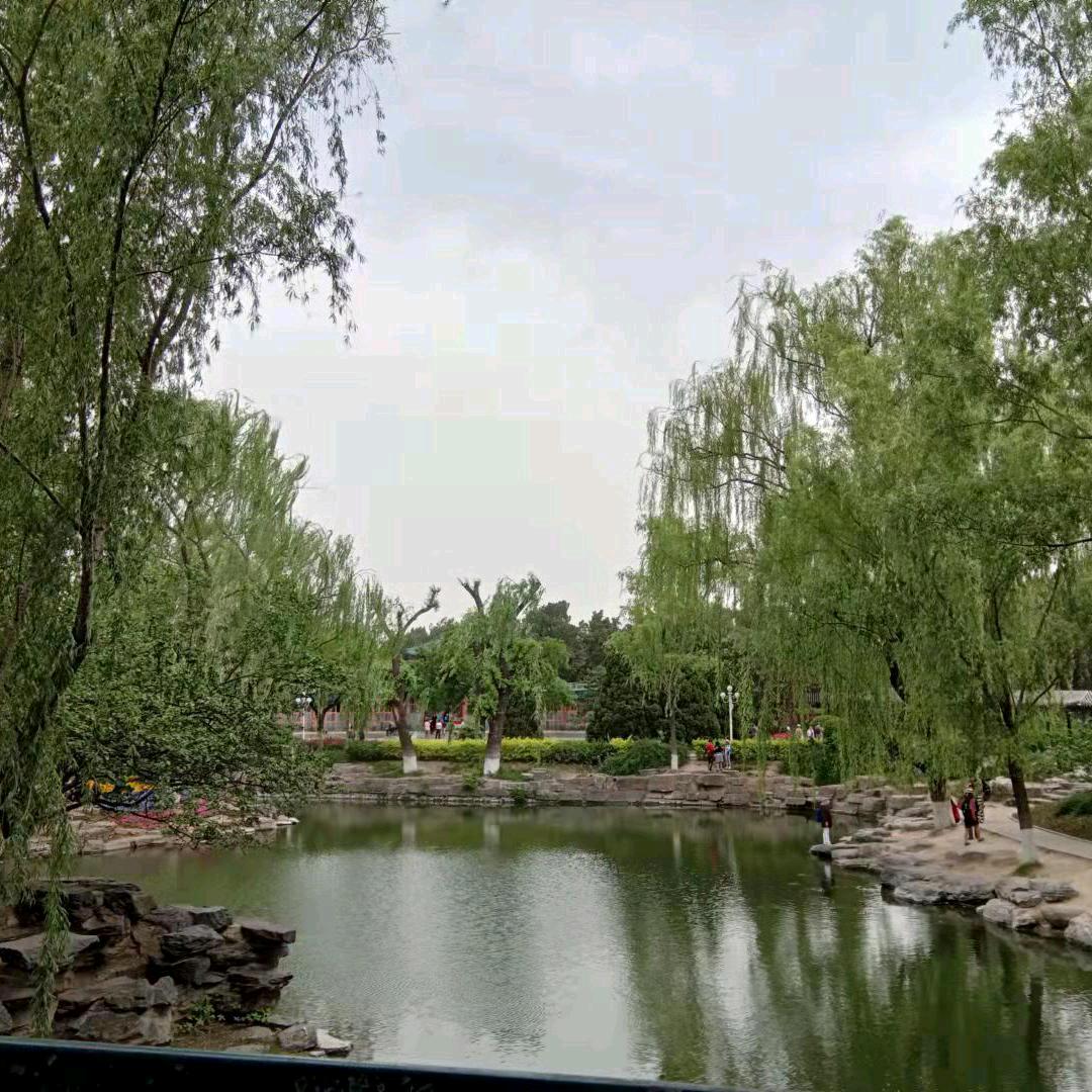 奎哥
