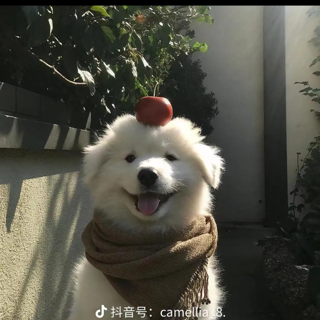 哈哈哈哈哈哈