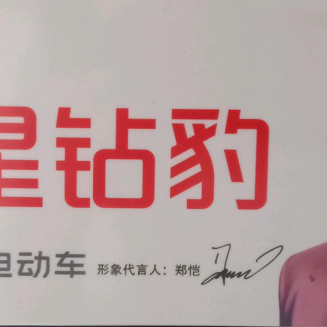 五星钻豹总经销