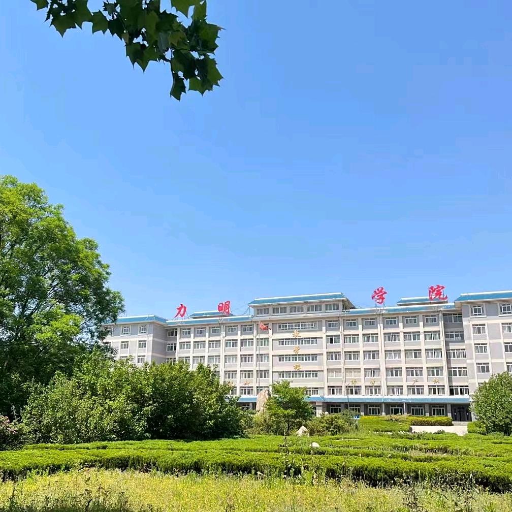 山东力明科技职业学院张老师